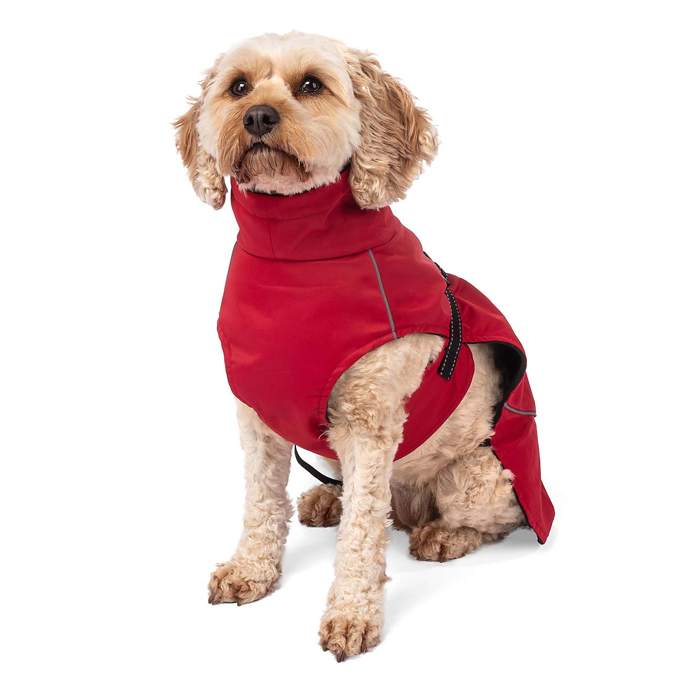 Carousel zoom image position 4 of 9