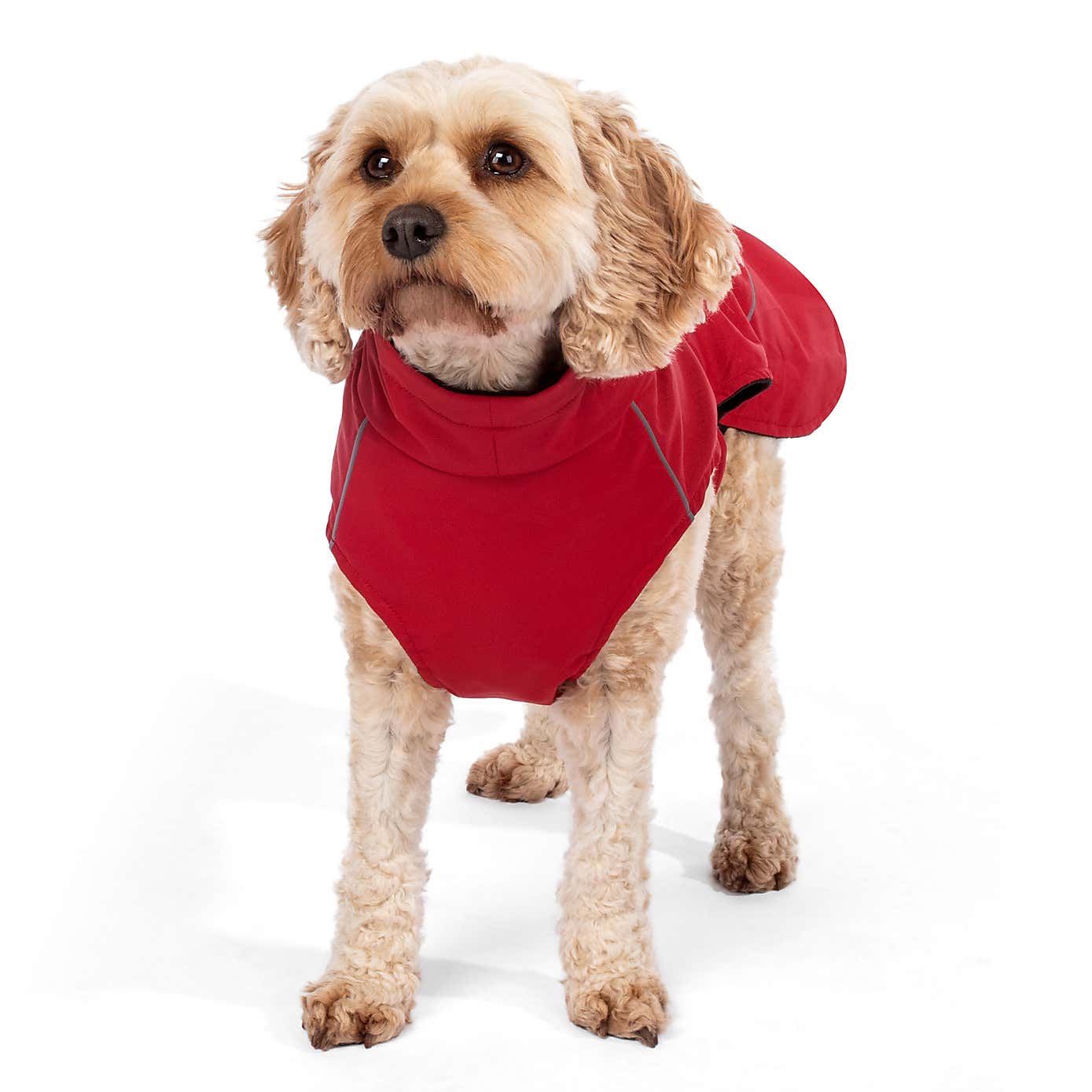 Carousel zoom image position 5 of 9