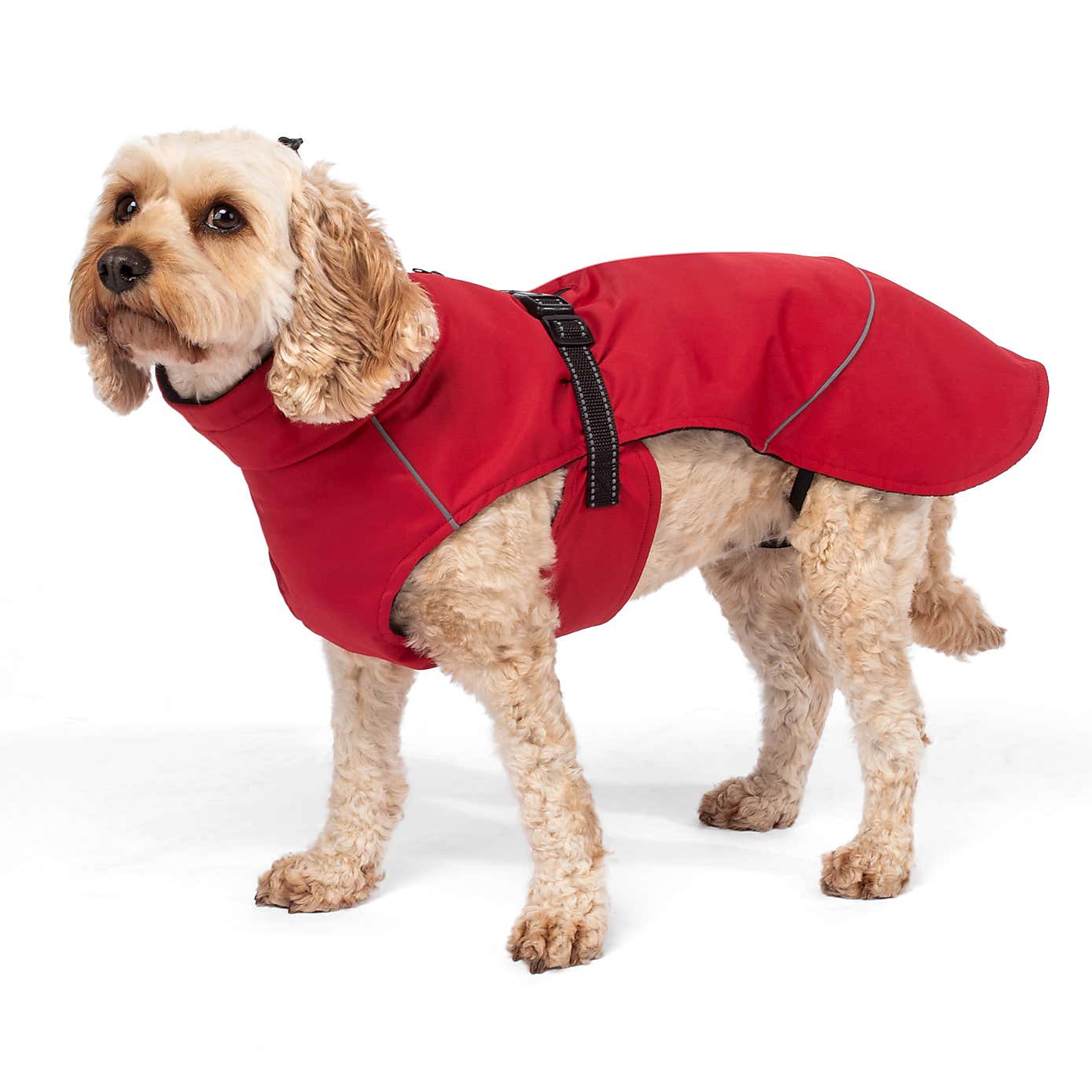 Carousel zoom image position 6 of 9