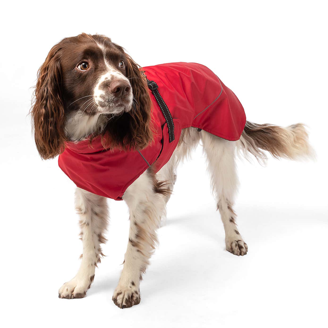 Carousel zoom image position 7 of 9