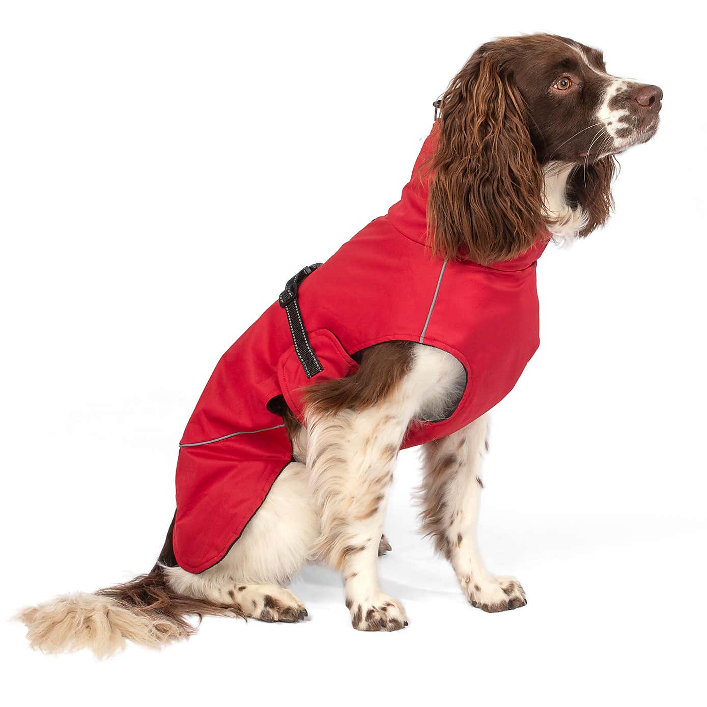 Carousel zoom image position 8 of 9