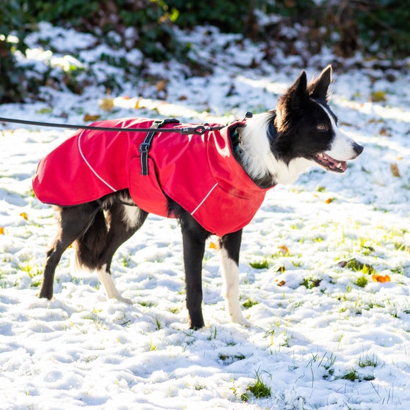 Bunty DownPaw Dog Jacket