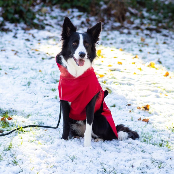 Carousel navigation image position 2 of 9