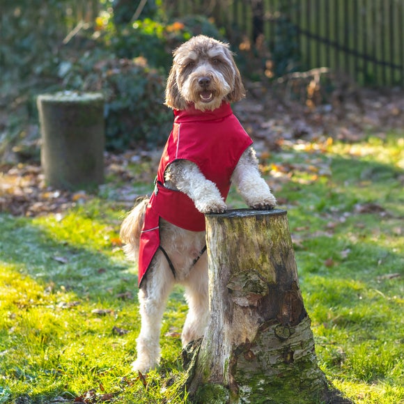 Carousel navigation image position 4 of 9