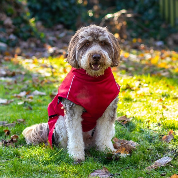 Carousel navigation image position 6 of 9