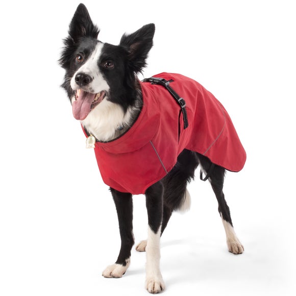 Carousel navigation image position 7 of 9