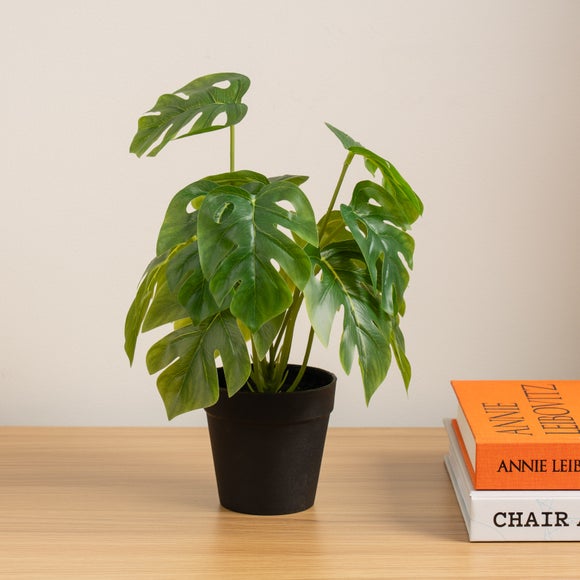 Artificial Cheese Plant In Black Plant Pot