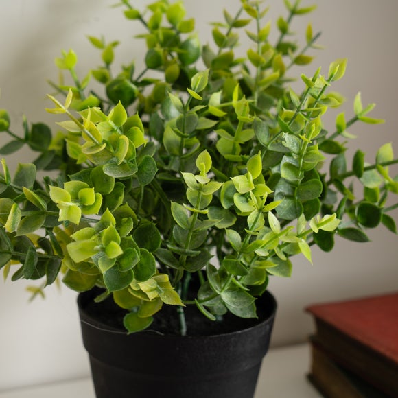 Carousel navigation image position 2 of 3