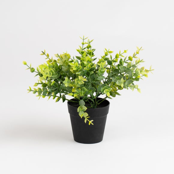 Carousel navigation image position 3 of 3