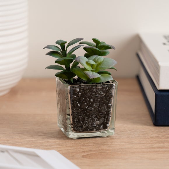 Click to view product details and reviews for Artificial Succulent In Glass Plant Pot.