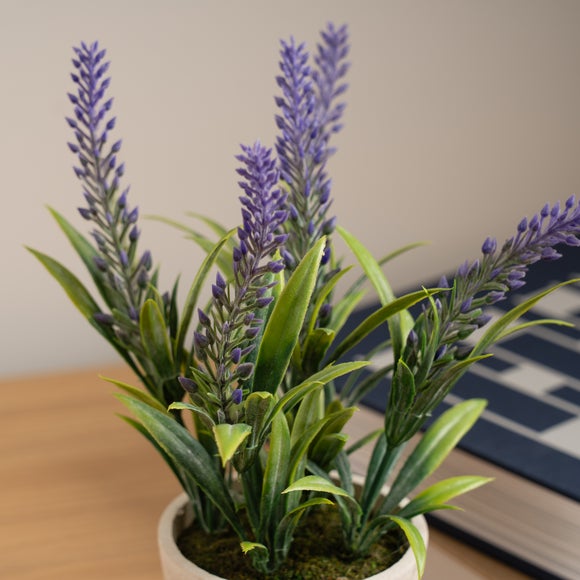 Carousel navigation image position 2 of 3