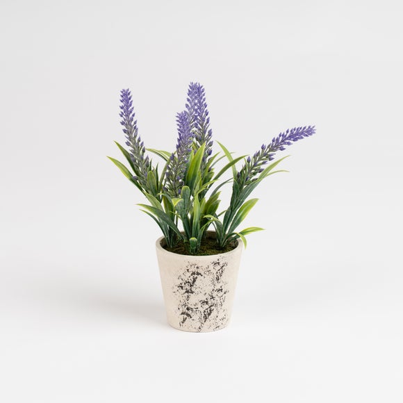 Carousel navigation image position 3 of 3