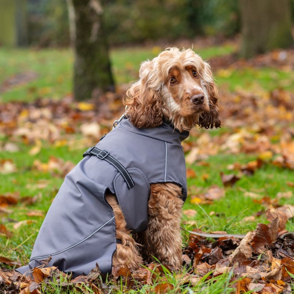 Bunty DownPaw Dog Jacket
