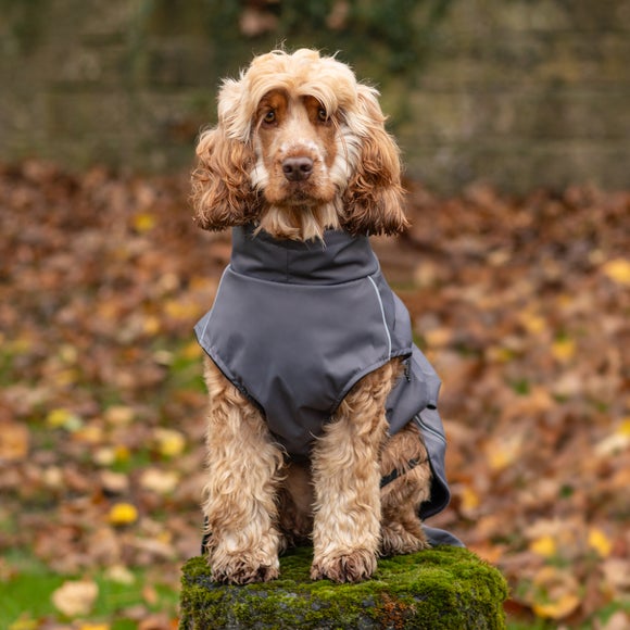 Carousel navigation image position 2 of 7