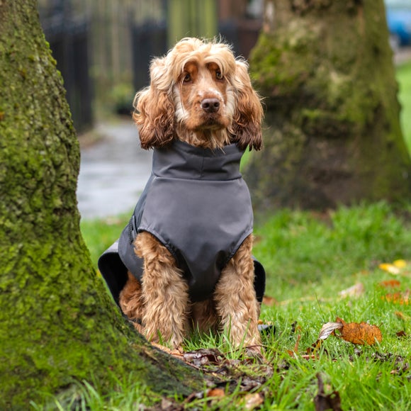 Carousel navigation image position 3 of 7