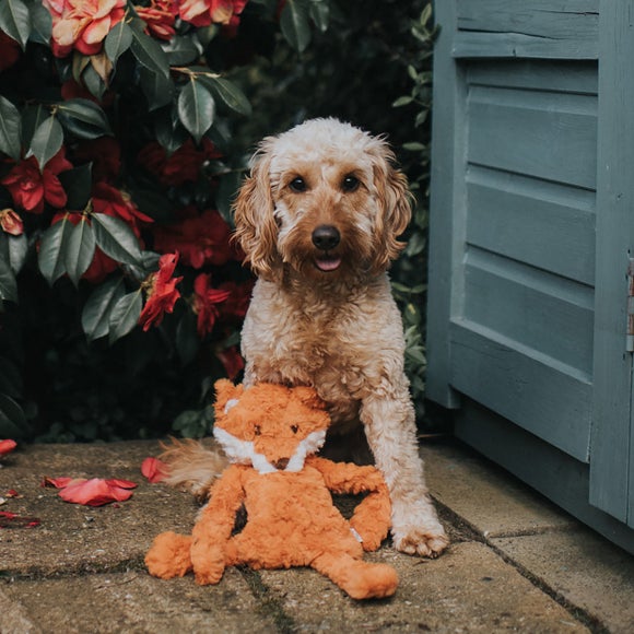 Rosewood Mydog Fox Dog Toy