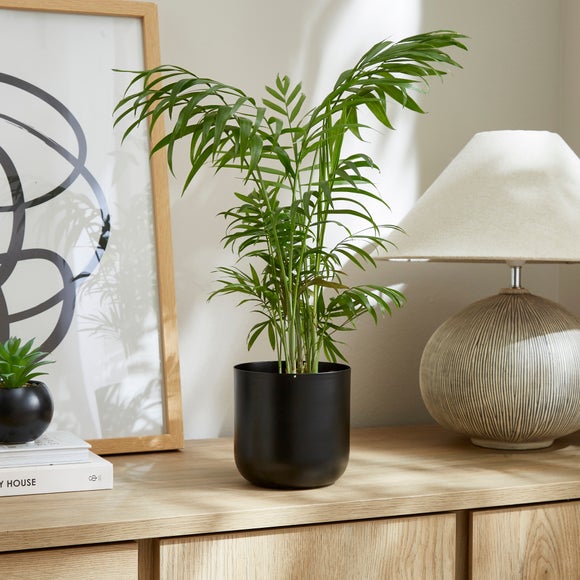 Carousel navigation image position 1 of 3