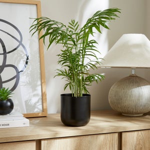 Curved Metal Plant Pot
