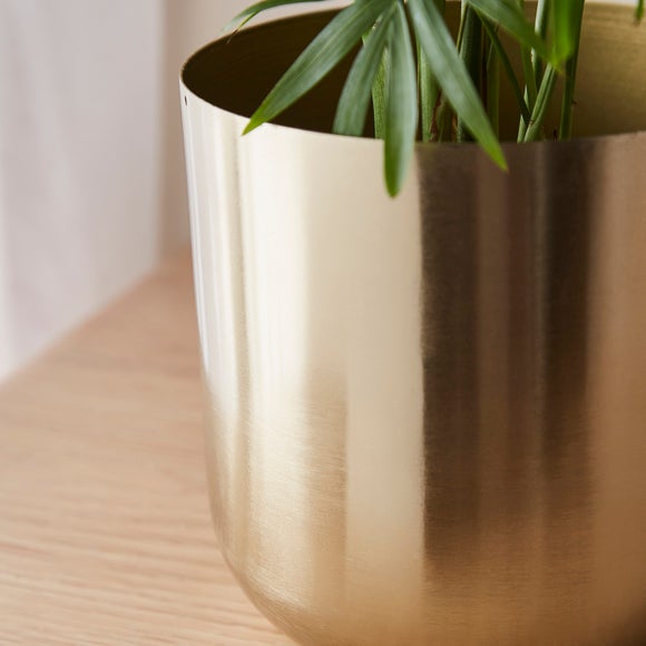 Carousel navigation image position 2 of 3