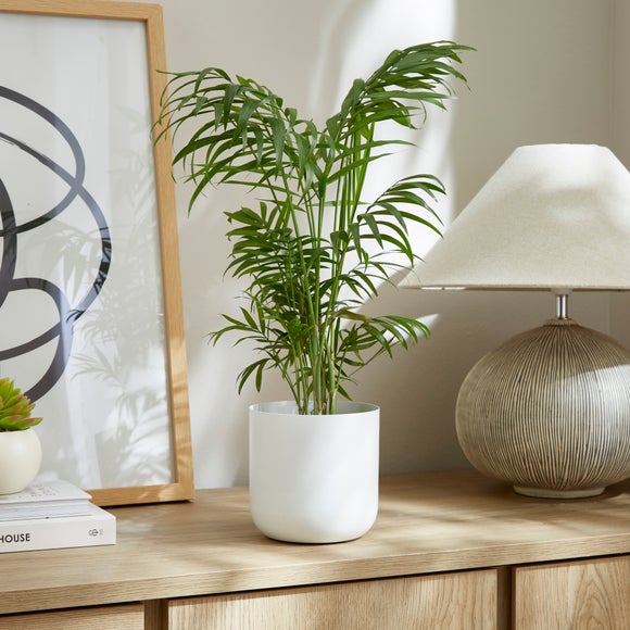 Carousel navigation image position 1 of 3