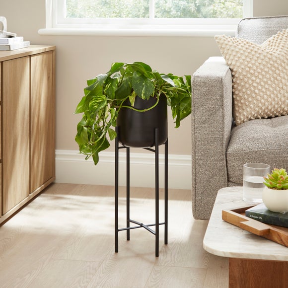 Carousel navigation image position 1 of 3