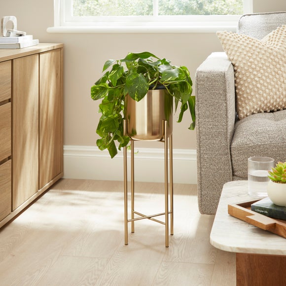 Carousel navigation image position 1 of 3