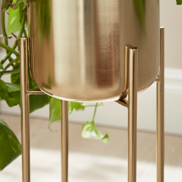 Carousel navigation image position 2 of 3