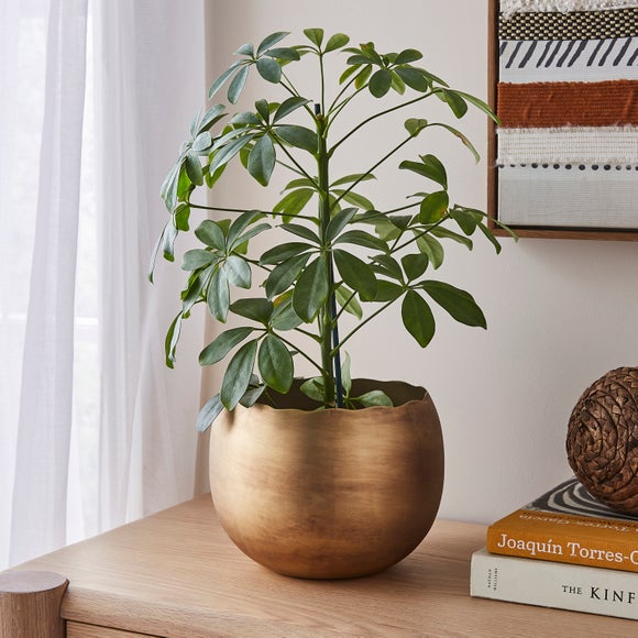 Organic Edged Metal Decorative Plant Pot