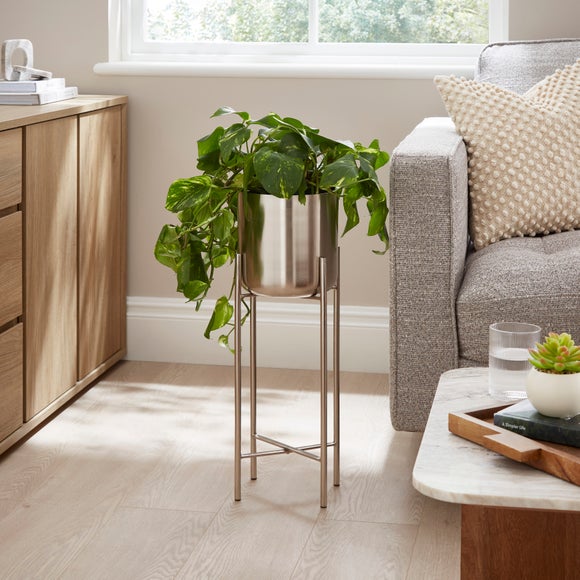 Carousel navigation image position 1 of 3