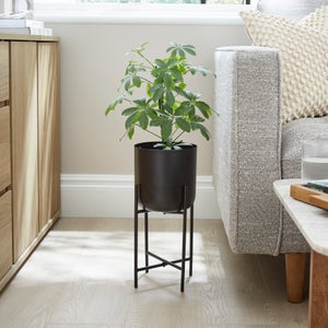 Curved Metal Plant Pot With Stand