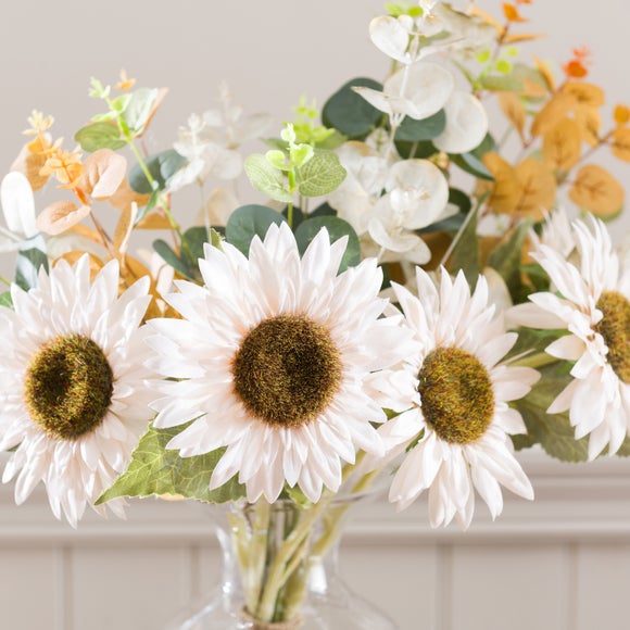 Carousel navigation image position 4 of 5