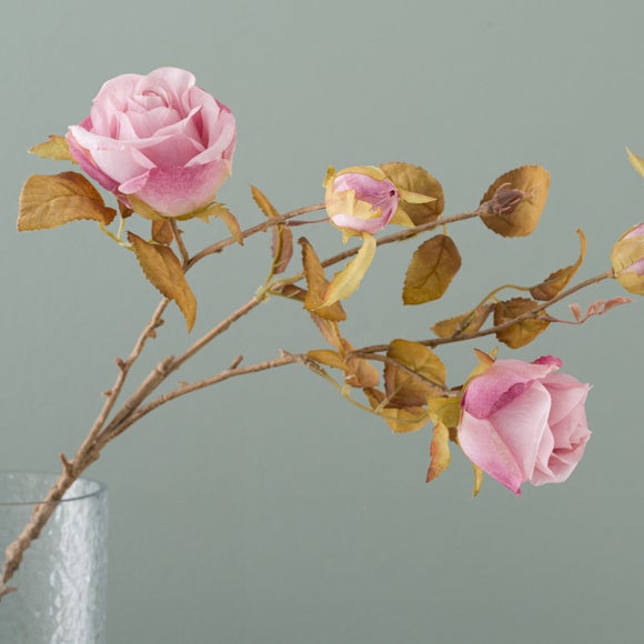 Carousel navigation image position 2 of 3