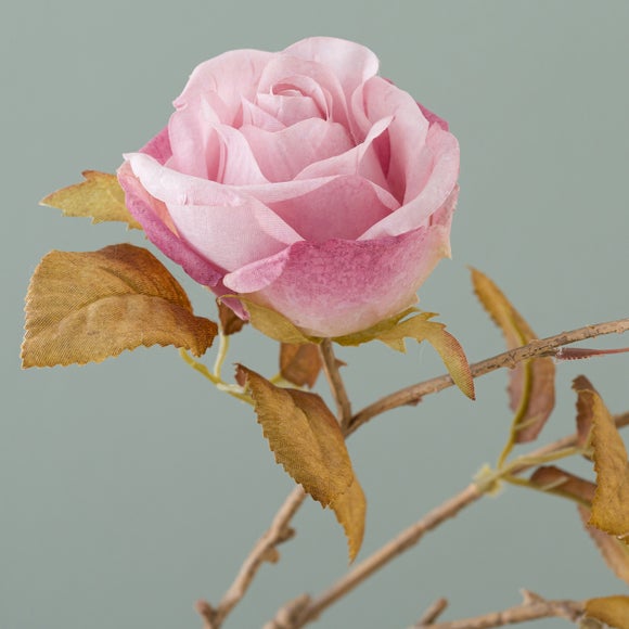 Carousel navigation image position 3 of 3