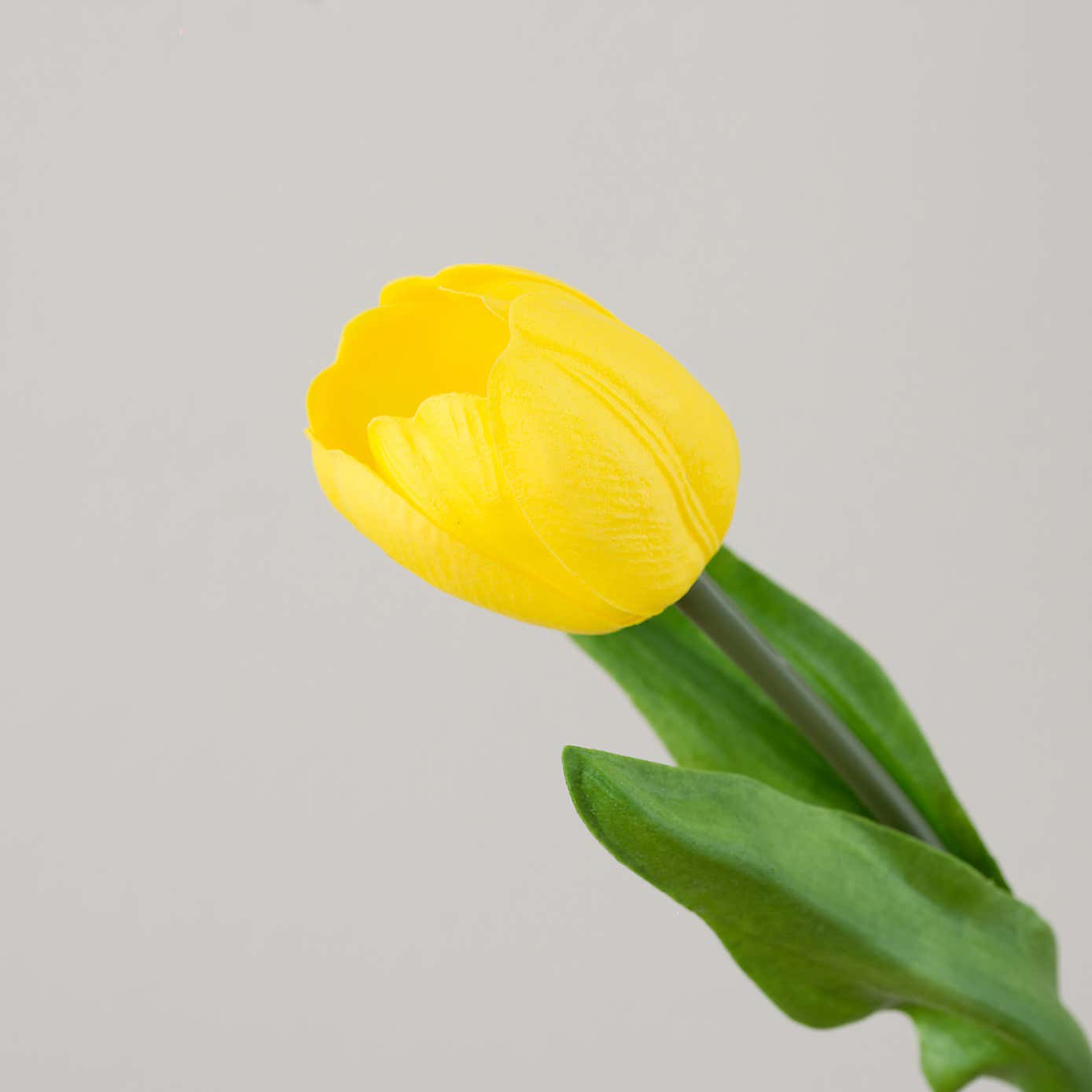 Carousel zoom image position 3 of 4