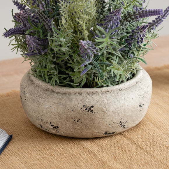 Carousel navigation image position 2 of 3