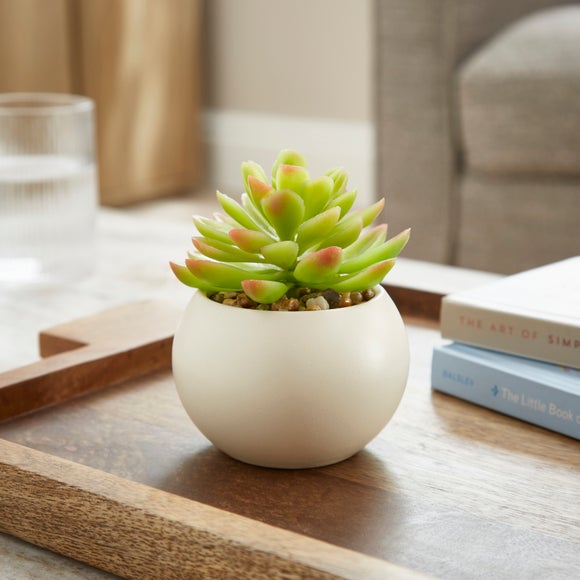 Artificial Succulent in Rounded Cream Ceramic Plant Pot