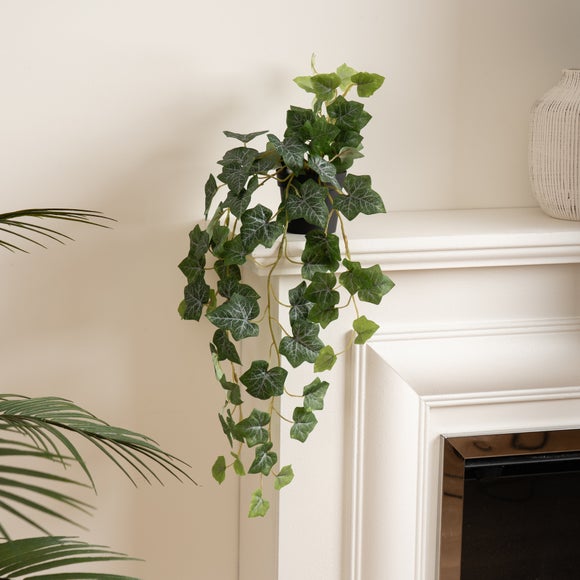 Click to view product details and reviews for Artificial Trailing Ivy In Black Plant Pot. Click to view product details and reviews for Artificial Trailing Ivy In Black Plant Pot.