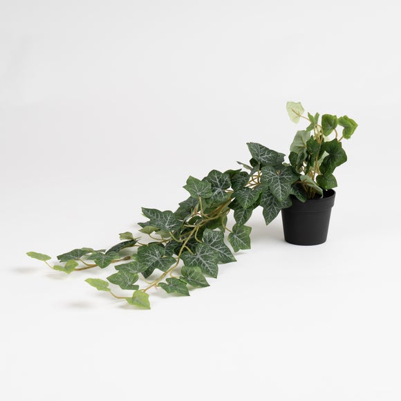 Carousel navigation image position 3 of 3