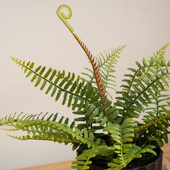 Carousel navigation image position 2 of 3