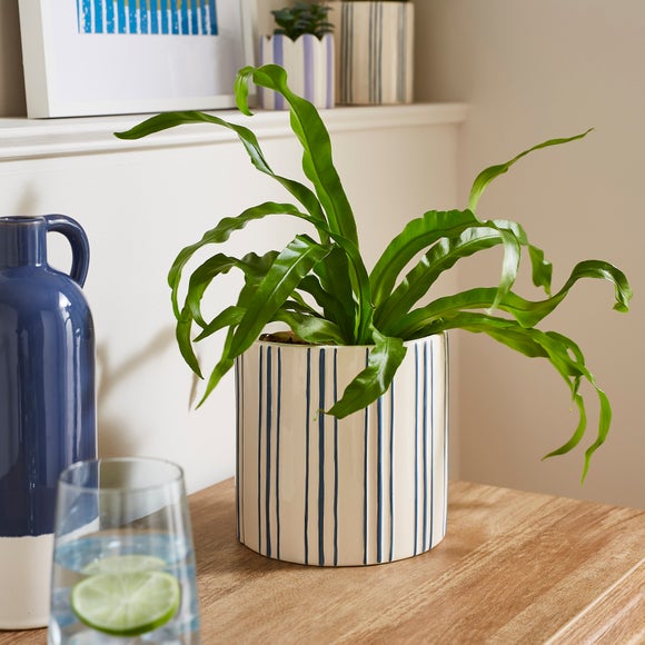 Striped Ceramic Plant Pot
