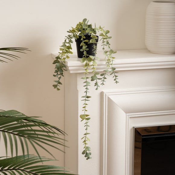 Click to view product details and reviews for Artificial Long Trailing Eucalyptus In Black Plant Pot. Click to view product details and reviews for Artificial Long Trailing Eucalyptus In Black Plant Pot.