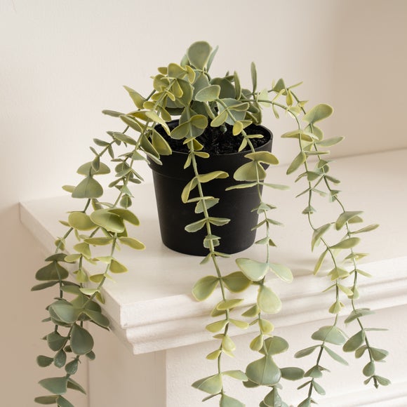 Carousel navigation image position 2 of 3