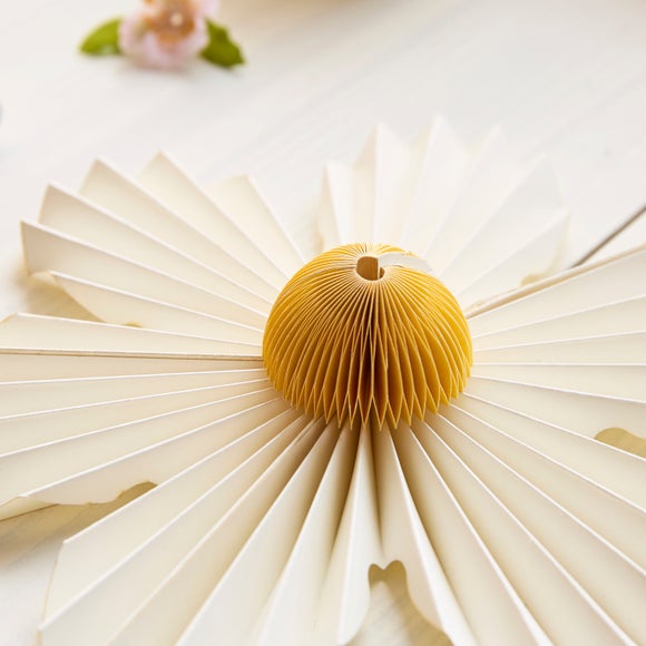 Carousel navigation image position 2 of 3