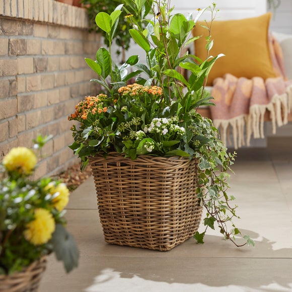Faux Rattan Square Plant Pot