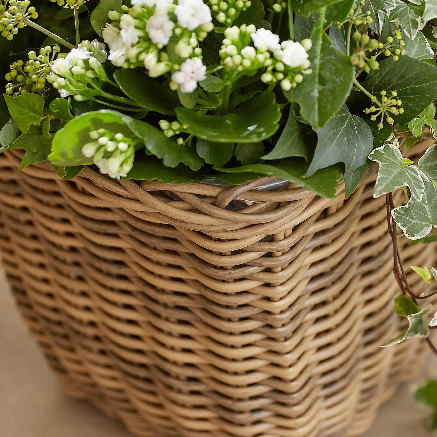 Carousel zoom image position 2 of 2