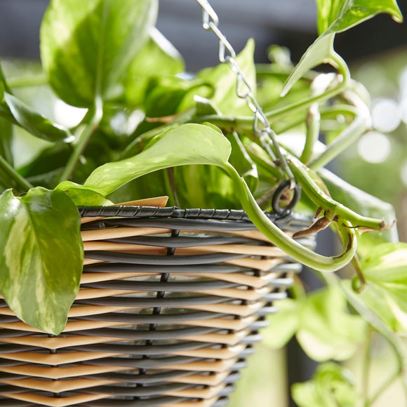 Carousel navigation image position 2 of 2