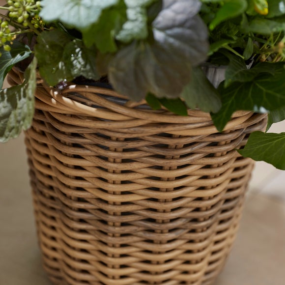 Carousel navigation image position 2 of 2