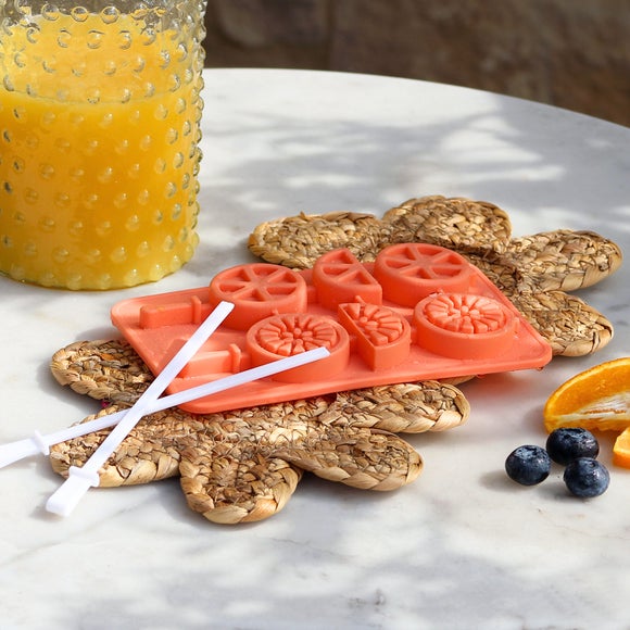 Fruit Ice Mould