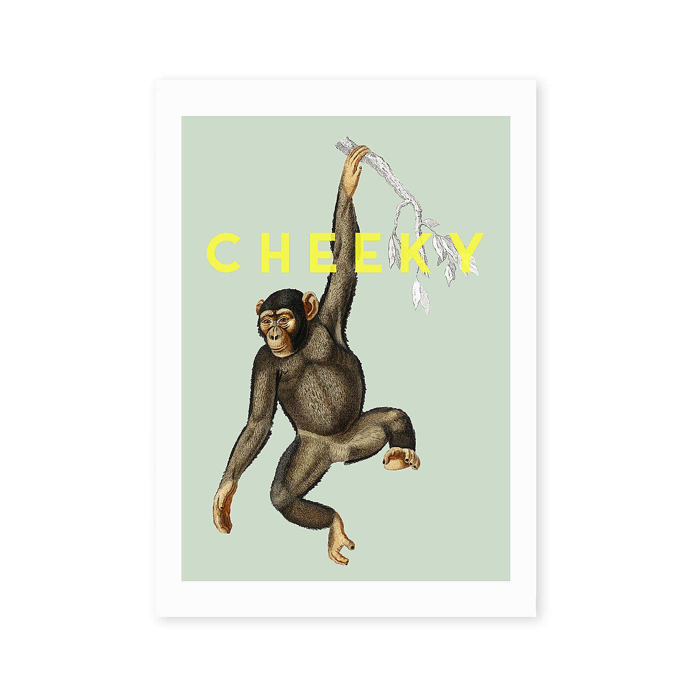 Carousel zoom image position 2 of 2