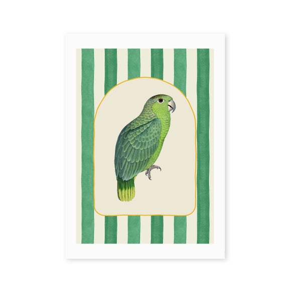 Photo 2 of East End Prints Stripy Green Parrot Print Photo 2 of East End Prints Stripy Green Parrot Print